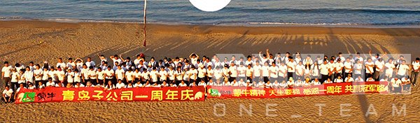 青岛拓展训练